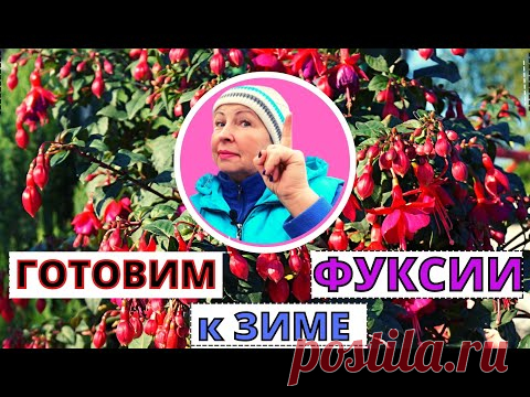 Как подготовить ФУКСИЮ к хранению? Способы зимовки фуксии