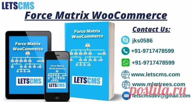 Multi-level Marketing is a simple and efficient way of starting a business in a small capital and Force Matrix WooCommerce (FMW) is the key to your success. LetsCms Pvt Ltd. presents a new revolution in the Multi-Level Marketing business by introducing a WordPress plugin for Force Matrix WooCommerce. LetsCms offers you to purchase its web software and all related services at affordable prices. Visit the official website of LetsCms/mlmtrees to purchase FMW and some of its other relevant products.