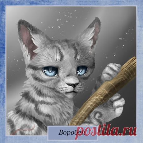 Jayfeather . Warriors by Romashik-arts on DeviantArt