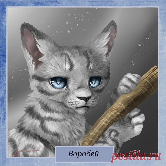 Jayfeather . Warriors by Romashik-arts on DeviantArt