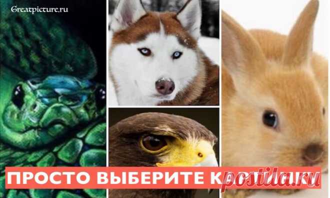 Этот тест быстро определит ваш тип личности по выбору фотографии Этот тест быстро определит ваш тип личности по выбору фотографии.Психологи уже давно говорят о том, что наше подсознательное работает только