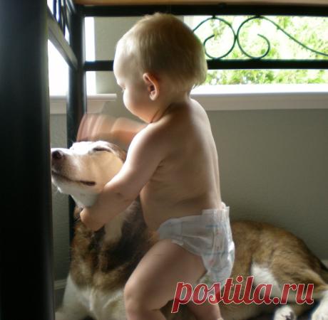 Необычные Способы Применения Крахмала, О Которых Вы Не Догадывались