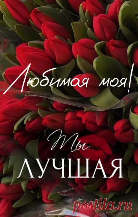 Твой голос слышу я и таю.
В твоих глазах души не чаю!
Когда не рядом ты — скучаю,
О тебе всюду вспоминаю.
Душа моя к тебе стремится,
А сердце по тебе томится.