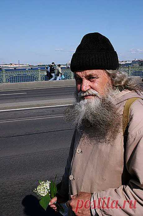Усы и борода, приколы, фотографии 