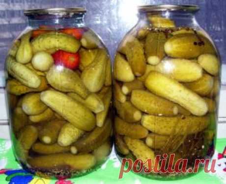 Самый вкусный рецепт соленых огурчиков, которым пользуюсь уже 20 лет!