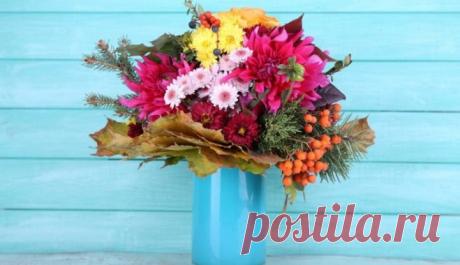 Две недели не предел: 13 самых стойких срезанных цветов
Несмотря на свою традиционность, розы понемногу сдают свои позиции в качестве основных цветов для букетов. Их все чаще и чаще заменяют на другие цветы — лилии, герберы, фрезии, ранункулюсы, хризанте…