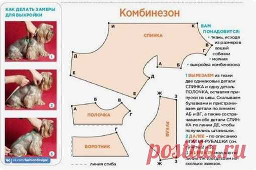 Для нaших любимцeв!

© Дизайн одежды