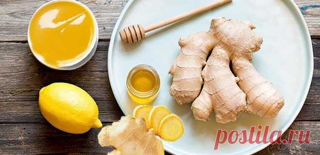 Имбирь с лимоном и медом: рецепт здоровья, пропорции и свойства