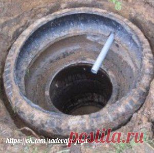 САДОВАЯ ФЕЯ - Цветы. Дача. Сад и Огород