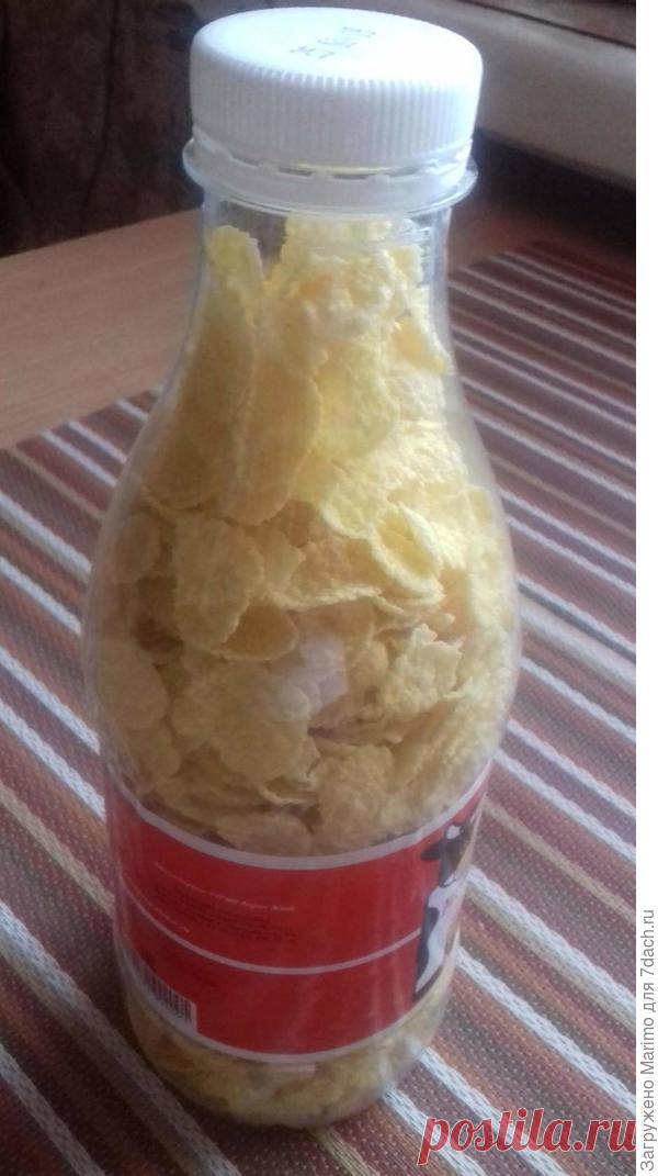 Необычное применение молочной бутылки