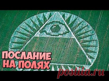 7 ФАКТОВ о КРУГАХ на ПОЛЯХ - YouTube