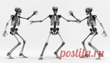 Соединения костей: виды и строение | Краткий обзор | PortalBio