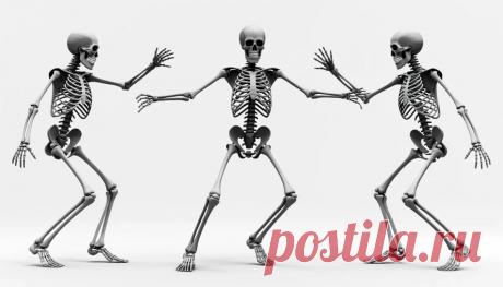 Соединения костей: виды и строение | Краткий обзор | PortalBio