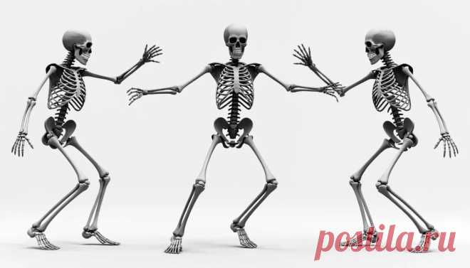 Соединения костей: виды и строение | Краткий обзор | PortalBio