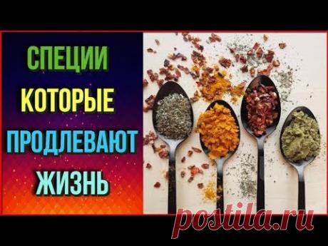 Ученые назвали СПЕЦИИ которые ПРОДЛЕВАЮТ ЖИЗНЬ Самые ПОЛЕЗНЫЕ СОВЕТЫ на каждый день - YouTube