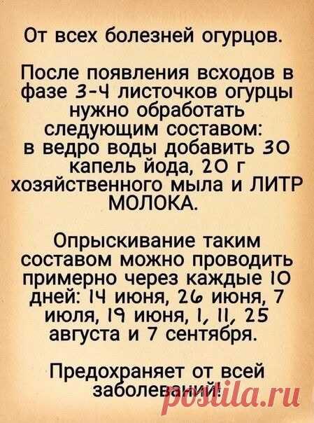 Советы огородникам