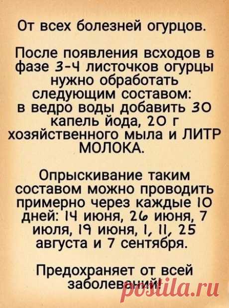 Советы огородникам