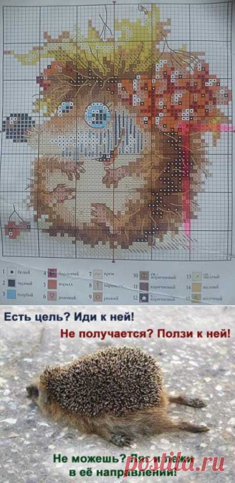 Ёжик / Вышивка / Схемы вышивки крестом
