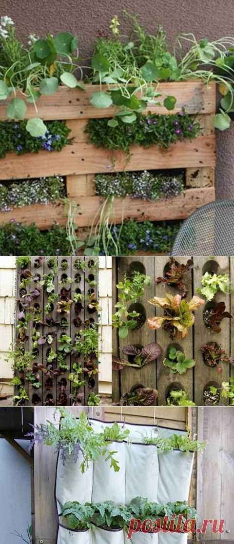 Где оформить грядки &#8212; 5 необычных мест | Дача своими руками