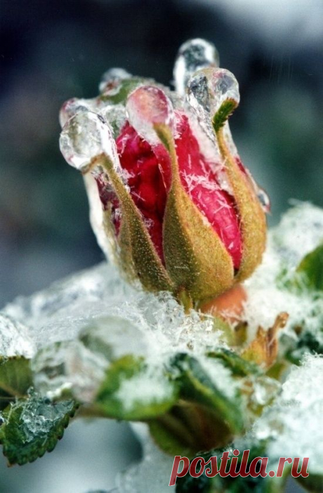 Pinterest: инструмент для поиска и хранения интересных идей