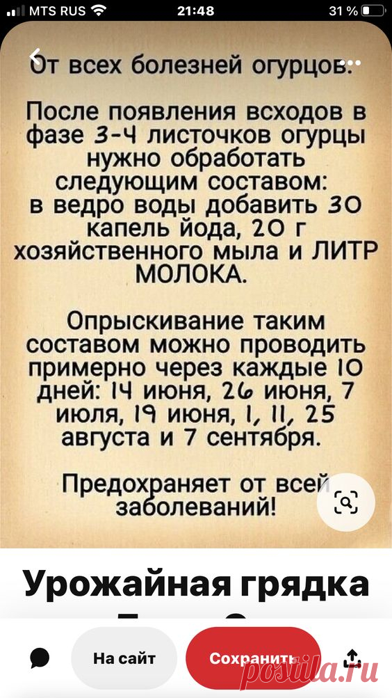 (1) Pinterest