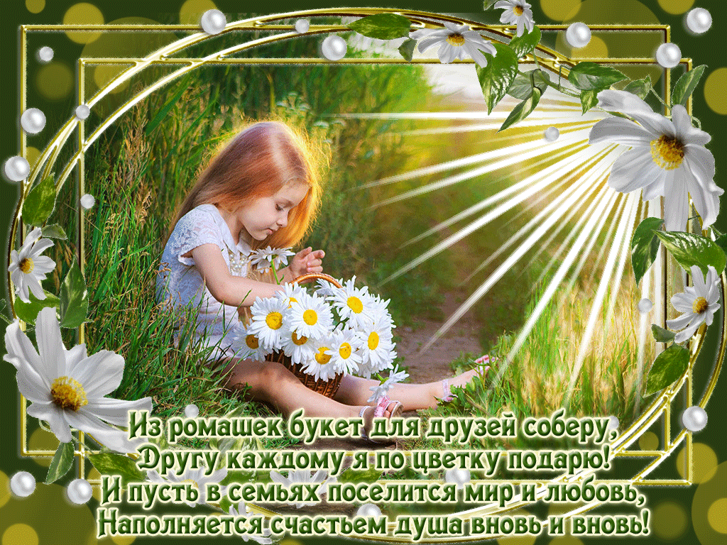 Ромашки