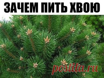 КАК СНЯЛА ОЧКИ? 

От неизвестного автора из инета: 