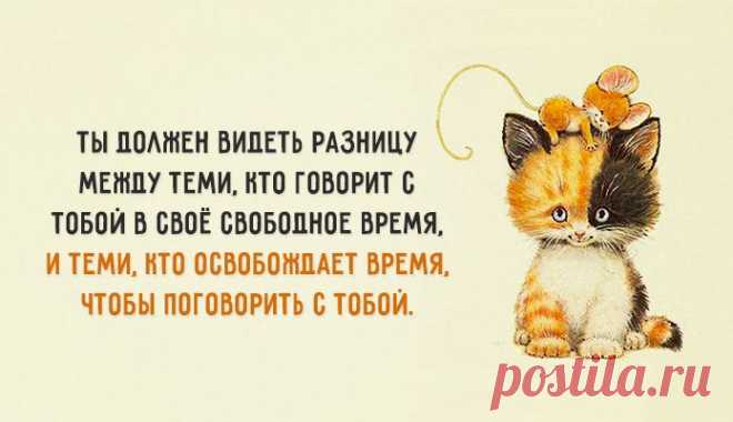 Одной фразой – Фитнес для мозга