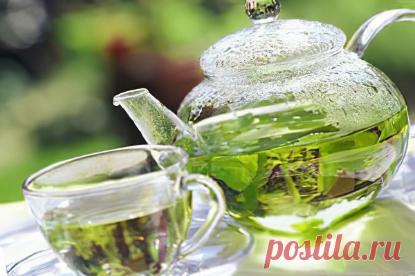 Применение зелёного чая.