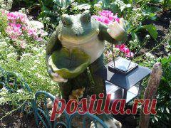 Фотоальбомы