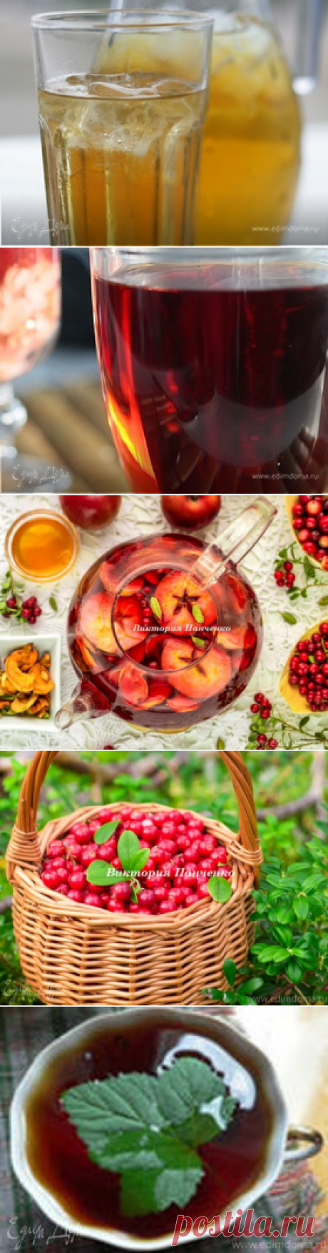 Яблочный чай с брусникой, клюквой и кардамоном | Официальный сайт кулинарных рецептов Юлии Высоцкой