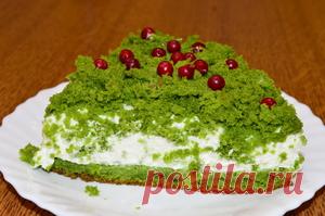 Новогодний торт Лесной мох рецепт с фото