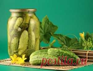 Очень простые рецепты консервирование огурцов