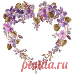 Gallery.ru / Фото #10 - Анютины глазки и фиалки - masunja