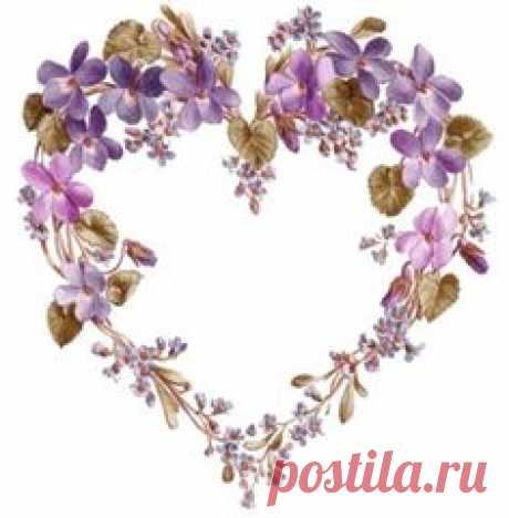 Gallery.ru / Фото #10 - Анютины глазки и фиалки - masunja