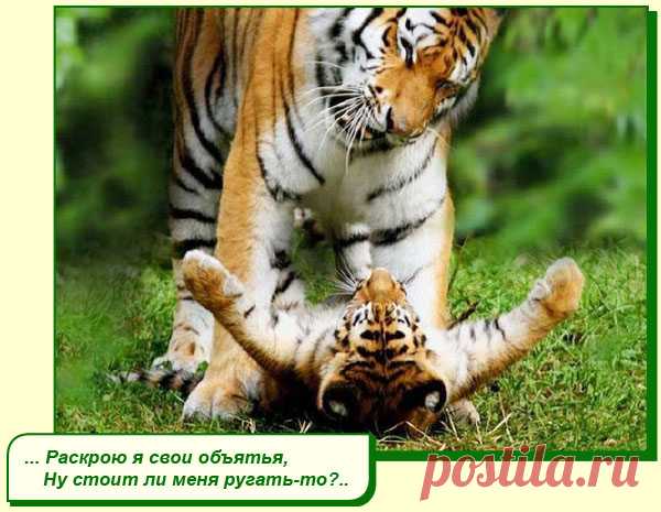 ХОРОШЕГО ВАМ НАСТРОЕНИЯ