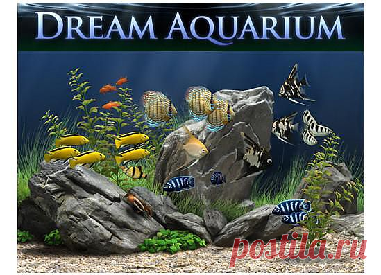 Dream Aquarium Screensaver 1.2605 Beta + RUS -качественный аквариум (заставка) для рабочего стола.