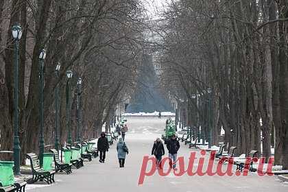 Число желающих вернуться на Украину беженцев за год снизилось вдвое. Число беженцев и переселенцев с Украины, желающих вернуться в страну, за год снизилось более чем вдвое. Об этом сообщили в ООН. По данным на февраль 2024 года, на Украину не собираются возвращаться 11 процентов беженцев и 15 процентов переселенцев. Год назад их численность составляла 5 и 7 процентов соответственно.