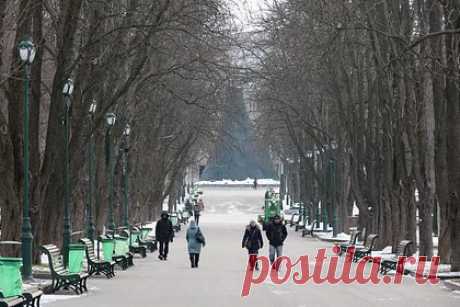 Число желающих вернуться на Украину беженцев за год снизилось вдвое. Число беженцев и переселенцев с Украины, желающих вернуться в страну, за год снизилось более чем вдвое. Об этом сообщили в ООН. По данным на февраль 2024 года, на Украину не собираются возвращаться 11 процентов беженцев и 15 процентов переселенцев. Год назад их численность составляла 5 и 7 процентов соответственно.