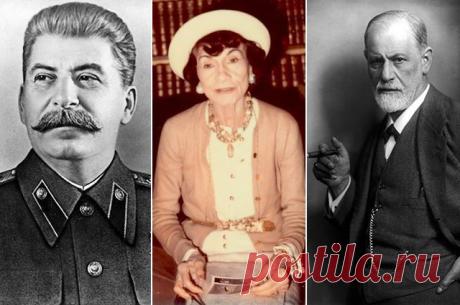 Диплому вопреки. Кем были известные люди по образованию?
