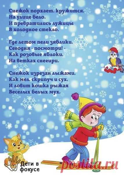 ДЕТИ В ФОКУСЕ✔