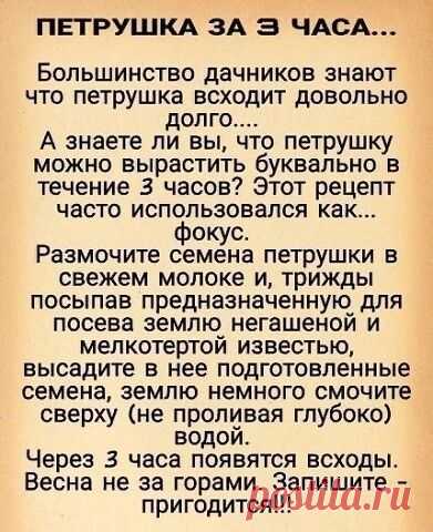 Огород, дача, цветы — Разное | OK.RU