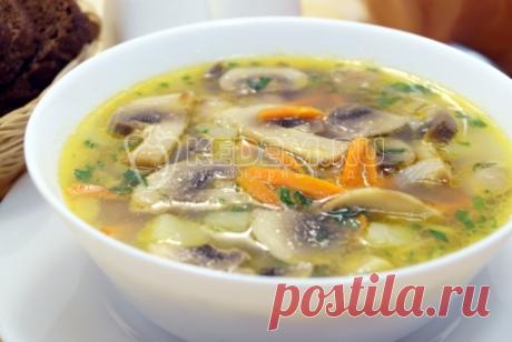 Супы Вкусные супы. Пошаговые рецепты супов с фото. Супы из курицы. Солянки. Борщи. Щи. Супы с мясом. Овощные супы. Супы с грибами. Супы с рыбой. и ещё много всего...