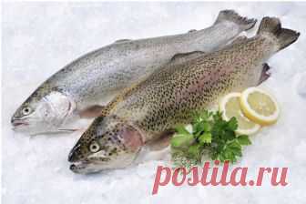 Почему не стоит брать рыбное филе в магазине, и 5 подсказок, как выбрать действительно полезную рыбу — Лайфхаки