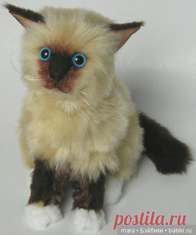 Кот, игрушка с выкройкой / Кот / Бэйбики. Куклы фото. Одежда для кукол