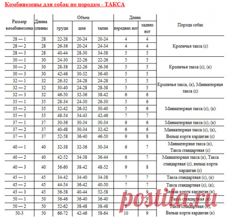 Комбинезоны для собак