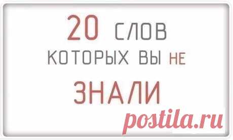 Знание-сила!