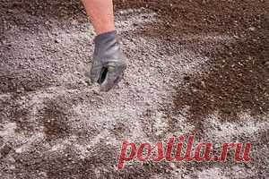 как самостоятельно определить кислотность почвы - Садоводка