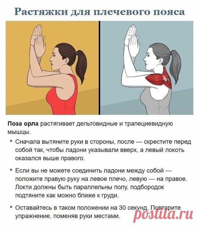 Растяжки для плечевого пояса