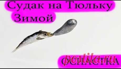 2 уловистых монтажа для ловли судака на тюльку - 929 результатов. Поиск Mail.Ru